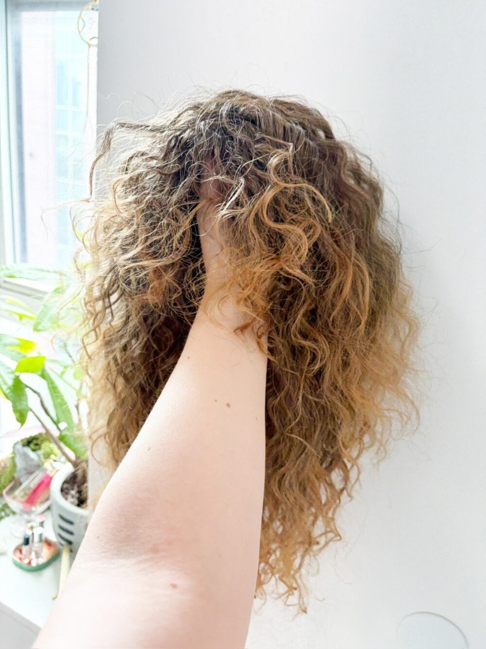 NEW Women's Brown Ombre Curly Wig with Bangs